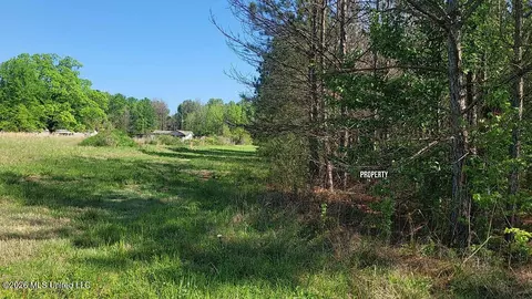 290 Mt Helm Rd, Brandon, MS 39047 photo 20