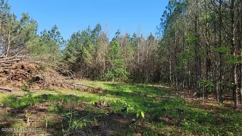 290 Mt Helm Rd, Brandon, MS 39047 photo 21