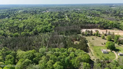 290 Mt Helm Rd, Brandon, MS 39047 photo 11