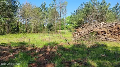290 Mt Helm Rd, Brandon, MS 39047 photo 23