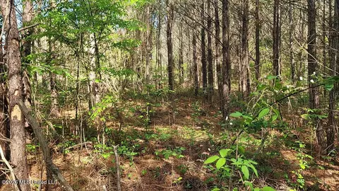 290 Mt Helm Rd, Brandon, MS 39047 photo 25