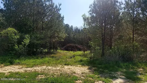 290 Mt Helm Rd, Brandon, MS 39047 photo 16