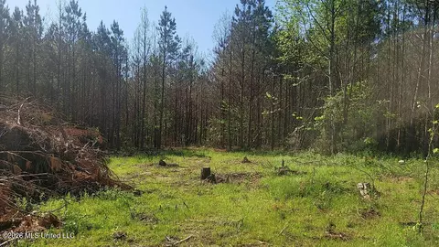 290 Mt Helm Rd, Brandon, MS 39047 photo 22