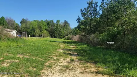 290 Mt Helm Rd, Brandon, MS 39047 photo 18