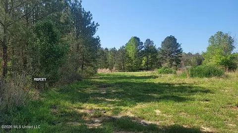 290 Mt Helm Rd, Brandon, MS 39047 photo 17