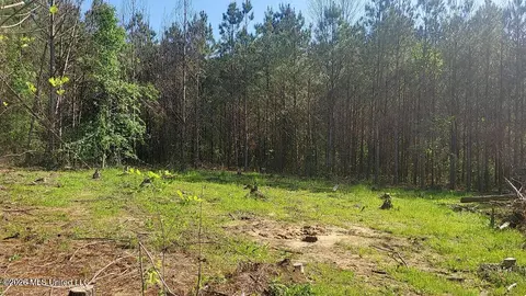 290 Mt Helm Rd, Brandon, MS 39047 photo 24