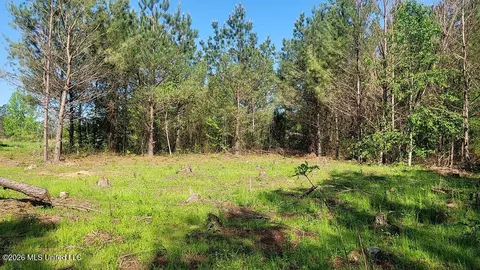 290 Mt Helm Rd, Brandon, MS 39047 photo 2