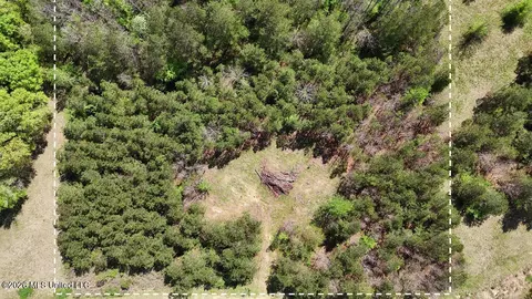 290 Mt Helm Rd, Brandon, MS 39047 photo 13