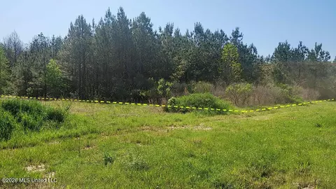 290 Mt Helm Rd, Brandon, MS 39047 photo 14