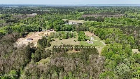 290 Mt Helm Rd, Brandon, MS 39047 photo 9