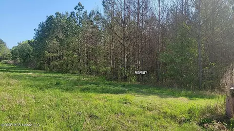 290 Mt Helm Rd, Brandon, MS 39047 photo 19