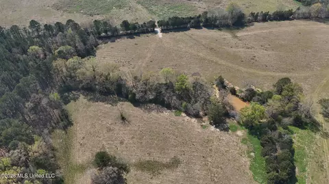 Potluck Road, Canton, MS 39046