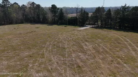 Potluck Road, Canton, MS 39046 photo 8