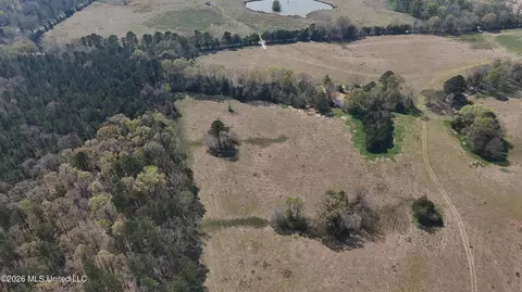 Potluck Road, Canton, MS 39046 photo 4