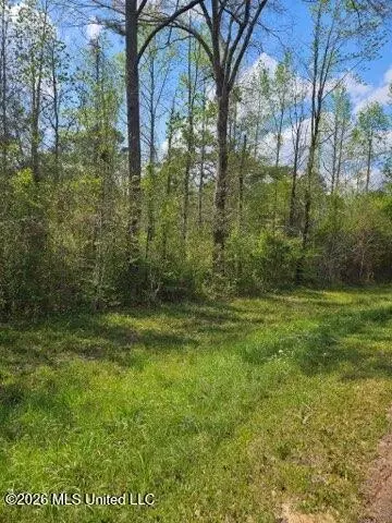 I-55 S Interstate 55, Magnolia, MS 39652
