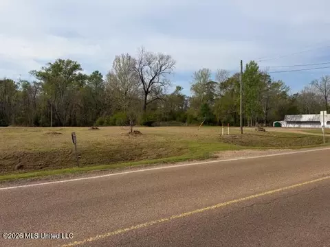 402 2nd St, Pelahatchie, MS 39145 photo 5