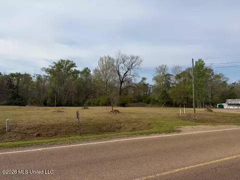 402 2nd St, Pelahatchie, MS 39145 photo 2