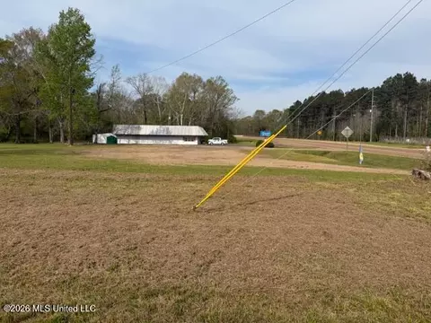 402 2nd St, Pelahatchie, MS 39145 photo 8