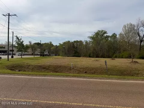 402 2nd St, Pelahatchie, MS 39145 photo 6