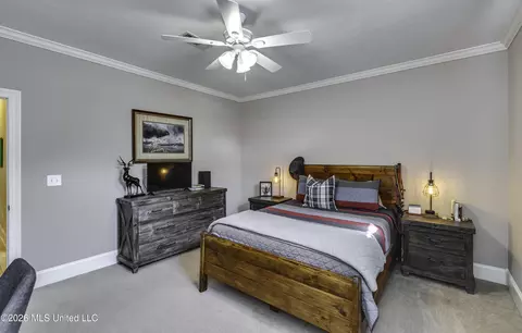 Bedroom - 302 Sarah Cv, Brandon, MS 39047 photo 11 of 11