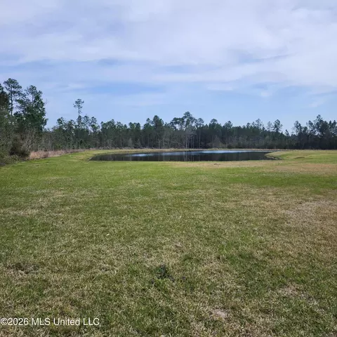 View/Area - 19211 Eldridge Dr, Saucier, MS 39574 photo 2 of 2