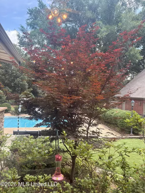 Exterior - 1290 S Robertson Rd, Hernando, MS 38632 photo 7 of 9