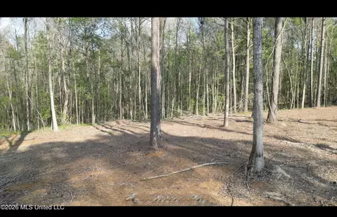 1961 Alton Graham Rd, Conehatta, MS 39057 photo 11