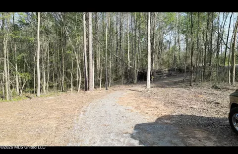1961 Alton Graham Rd, Conehatta, MS 39057 photo 4