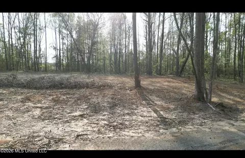 1961 Alton Graham Rd, Conehatta, MS 39057 photo 8