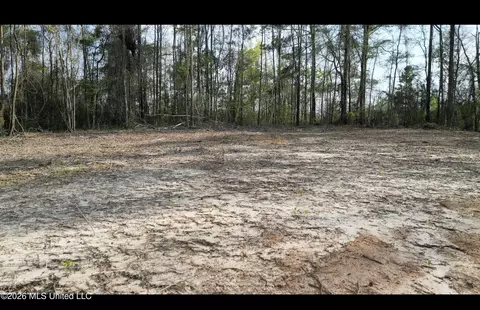 1961 Alton Graham Rd, Conehatta, MS 39057 photo 12