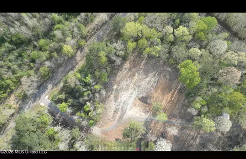 1961 Alton Graham Rd, Conehatta, MS 39057 photo 13