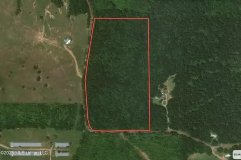 1961 Alton Graham Rd, Conehatta, MS 39057 photo 2