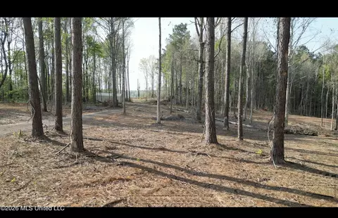 1961 Alton Graham Rd, Conehatta, MS 39057 photo 7