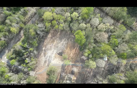 1961 Alton Graham Rd, Conehatta, MS 39057 photo 14