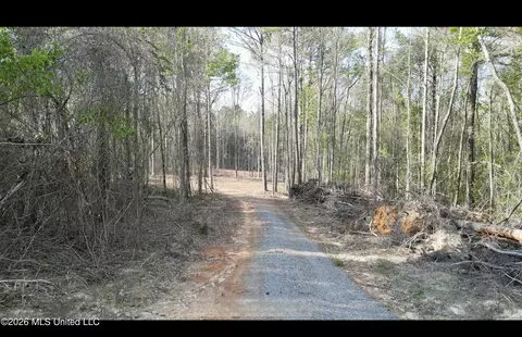 1961 Alton Graham Rd, Conehatta, MS 39057 photo 5