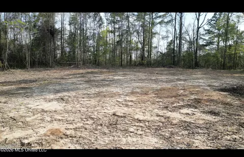 1961 Alton Graham Rd, Conehatta, MS 39057 photo 3