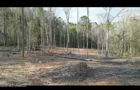 1961 Alton Graham Rd, Conehatta, MS 39057 photo 10