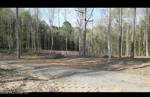 1961 Alton Graham Rd, Conehatta, MS 39057 photo 9
