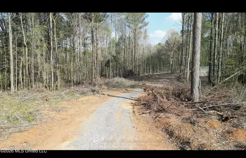 1961 Alton Graham Rd, Conehatta, MS 39057