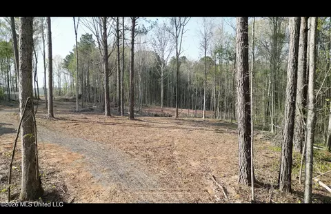 1961 Alton Graham Rd, Conehatta, MS 39057 photo 6