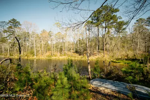 646 Harrisville Rd, Braxton, MS 39044