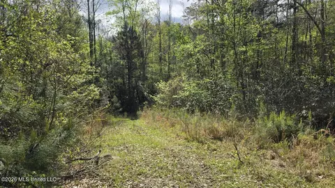 0 SE Gill Dr, Brookhaven, MS 39601 photo 9