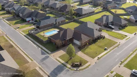 View/Area - 306 Red Cedar Dr, Brandon, MS 39047 photo 4 of 4