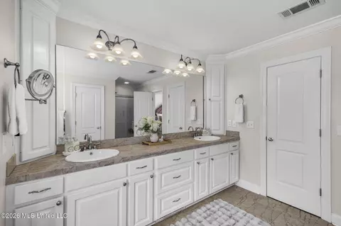 Bath - 1058 Ridgeside Dr, Brandon, MS 39042 photo 3 of 6