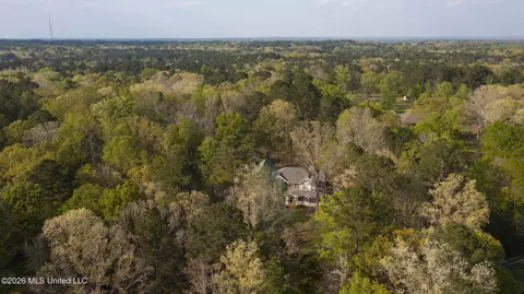 Other - 1058 Ridgeside Dr, Brandon, MS 39042 photo 29 of 32