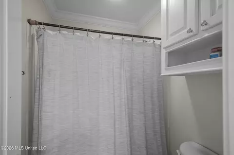 Bath - 1058 Ridgeside Dr, Brandon, MS 39042 photo 6 of 6