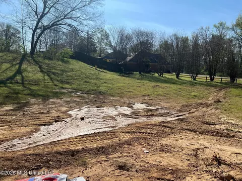 1070 W Green T Lk, Hernando, MS 38632 photo 5