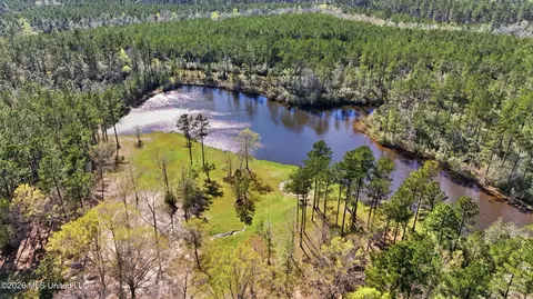 View/Area - 24203 Bilbo Rd, Vancleave, MS 39565 photo 2 of 2