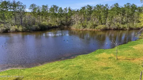 View/Area - 24203 Bilbo Rd, Vancleave, MS 39565 photo 1 of 2