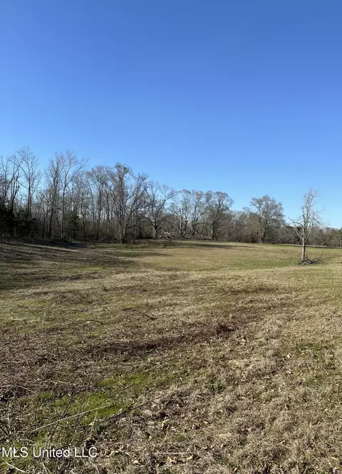 0 Chichester Rd, Edwards, MS 39066 photo 10